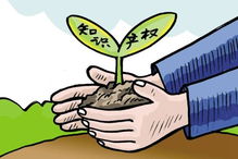 企南針 專業(yè)知識(shí)產(chǎn)權(quán)服務(wù)，為您的創(chuàng)新成果保駕護(hù)航