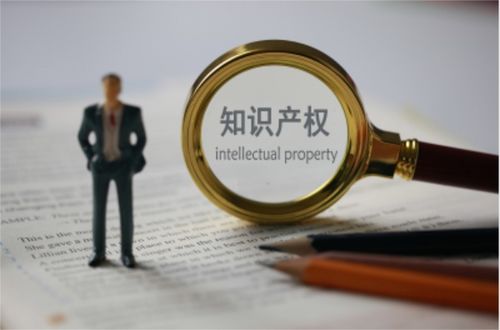 健全知識(shí)產(chǎn)權(quán)保護(hù)制度，賦能中小企業(yè)創(chuàng)新發(fā)展——解讀十七部門聯(lián)合發(fā)文支持中小企業(yè)發(fā)展新舉措
